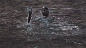 PERUN Regata 2011 - Uhlák foto